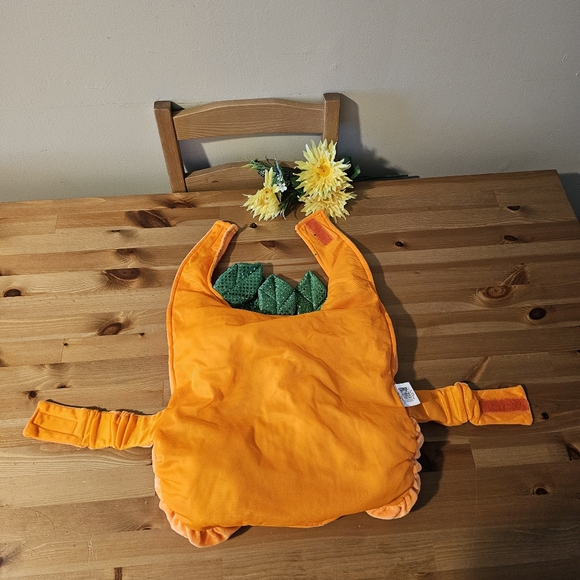 Thrills & Chills - Dog Pumpkin Halloween Costume - Size L - Picture 3 of 13